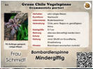 Terrarienbeschriftung im Mini KrabbelZoo