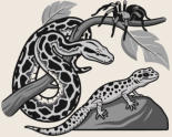 Logo von PYTHON und CO